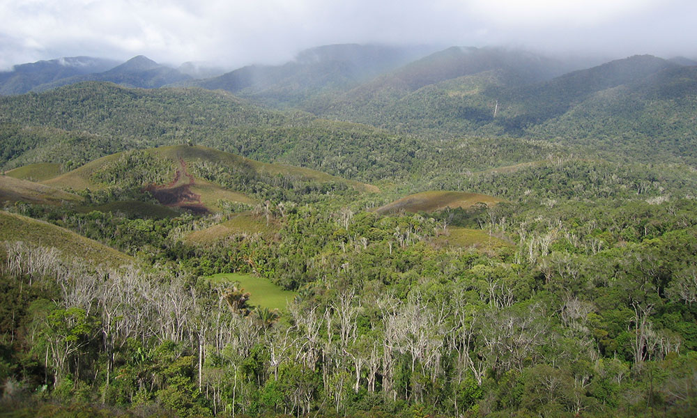 Anjanaharibe reserve